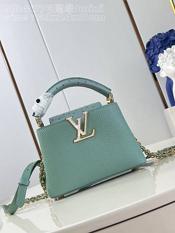 Louis Vuitton LV Mini Capucines Sky Blue Leather Ostrich 22cm