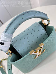 Louis Vuitton LV Mini Capucines Sky Blue Leather Ostrich 22cm - 4