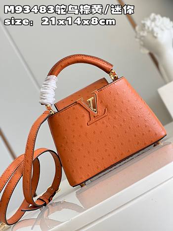 Louis Vuitton LV Mini Capucines Brown Ostrich 21x14x8cm