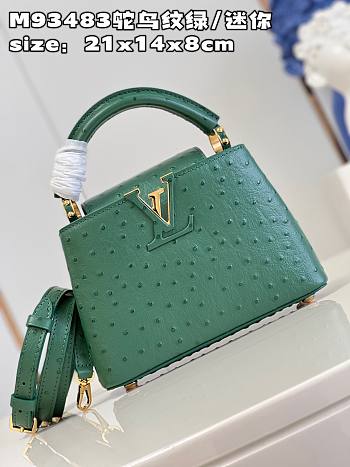 Louis Vuitton LV Mini Capucines Green Ostrich 21x14x8cm