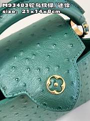 Louis Vuitton LV Mini Capucines Green Ostrich 21x14x8cm - 6