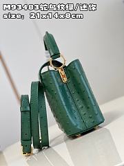 Louis Vuitton LV Mini Capucines Green Ostrich 21x14x8cm - 5