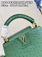 Louis Vuitton LV Mini Capucines Green Ostrich 21x14x8cm - 4