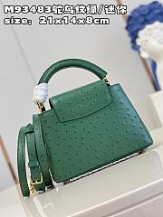 Louis Vuitton LV Mini Capucines Green Ostrich 21x14x8cm - 3