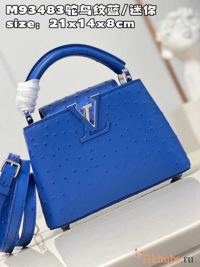 Louis Vuitton LV Mini Capucines Blue Ostrich 21x14x8cm - 1