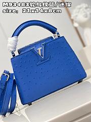 Louis Vuitton LV Mini Capucines Blue Ostrich 21x14x8cm - 1