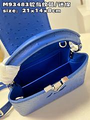 Louis Vuitton LV Mini Capucines Blue Ostrich 21x14x8cm - 2