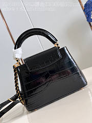 Louis Vuitton LV Capucines Mini Black Crocodile 21 x 14 x 8 cm - 6