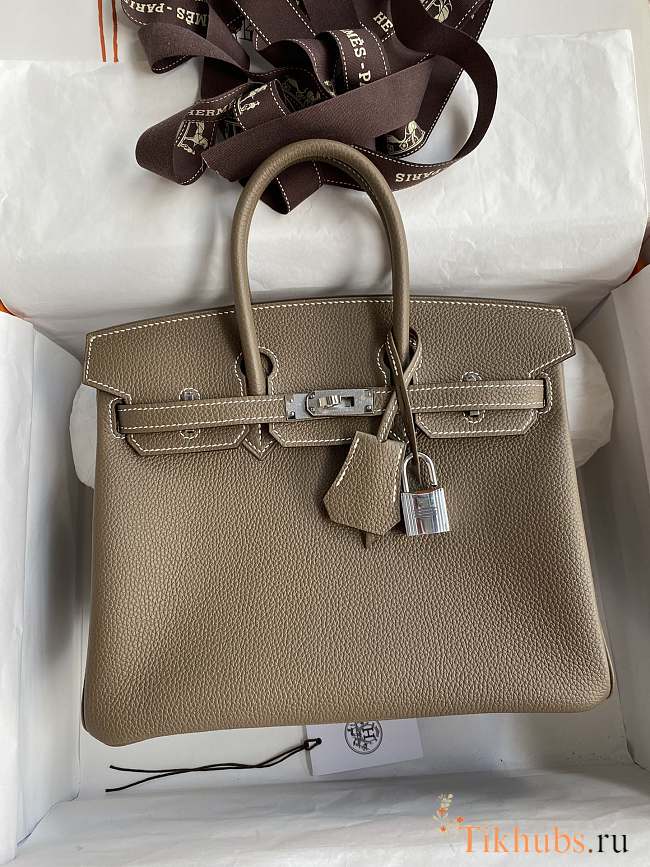 Hermes Birkin 25 Etoupe Silver Togo Bag 25cm - 1