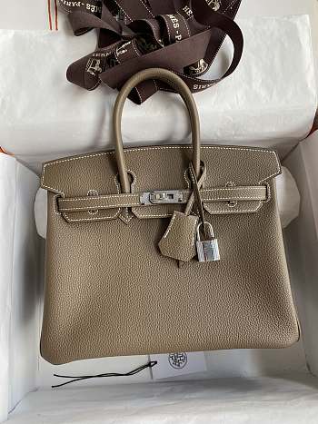 Hermes Birkin 25 Etoupe Silver Togo Bag 25cm