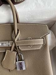 Hermes Birkin 25 Etoupe Silver Togo Bag 25cm - 3