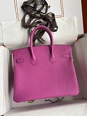 Hermes Birkin 25 Pink Silver Togo Bag 25cm - 2