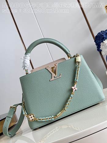 Louis Vuitton LV MM Capucines Jade Green 31x20x11cm