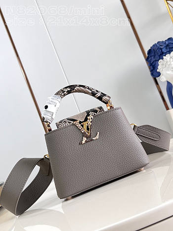 Louis Vuitton LV Mini Capucine Grey 21x14x8cm