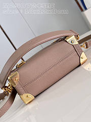 Louis Vuitton LV Side Trunk Bag PM Taupe 18 x 12.5 x 8 cm - 4