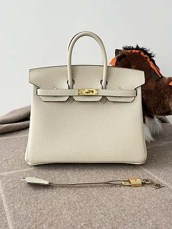 Hermes Birkin 25 Bag White Gold Togo 25cm