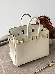 Hermes Birkin 25 Bag White Gold Togo 25cm - 3