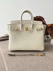 Hermes Birkin 25 Bag White Gold Togo 25cm - 2