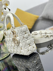 Dior Small Lady Bag White Gold-Finish Zodiac 20 x 17 x 8 cm - 4