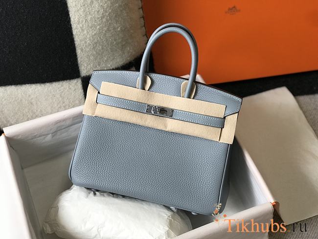 Hermes Birkin 25 Bag Light Blue Togo Silver 25cm - 1