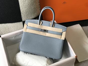 Hermes Birkin 25 Bag Light Blue Togo Silver 25cm