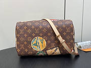 Louis Vuitton LV Speedy Bandoulière 30 Monogram 30 x 21 x 17 cm - 6