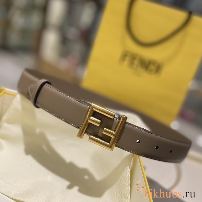 Fendi Grey Belt 3.5cm - 1