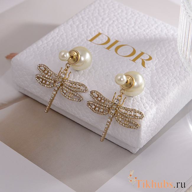 Dior Earrings 04 - 1