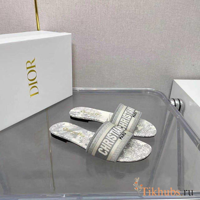 Dior Dway Slide Gray Toile de Jouy - 1