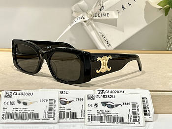 Celine Sunglasses 01