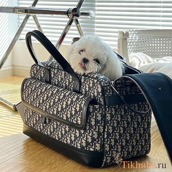 Dior Pet Bag Oblique 40x23x29cm - 1