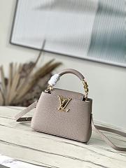 Louis Vuitton LV Mini Capucines Grey 21x14x8cm - 1