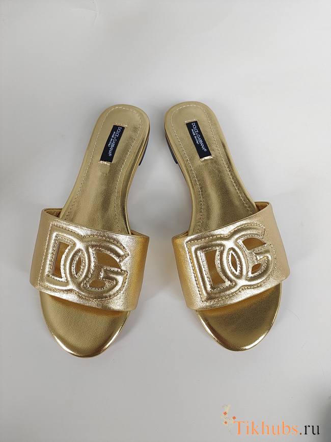 DG Gold Slides - 1