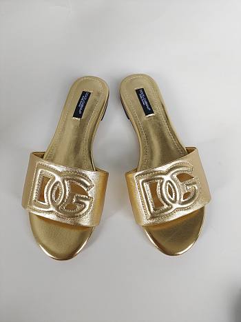 DG Gold Slides