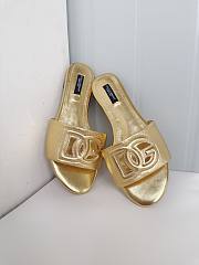 DG Gold Slides - 4