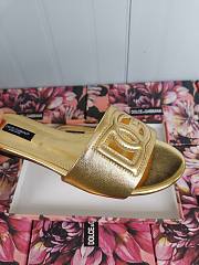 DG Gold Slides - 3