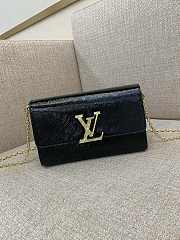 Louis Vuitton LV Pochette Louise Black 22 x 14 x 5 cm - 1