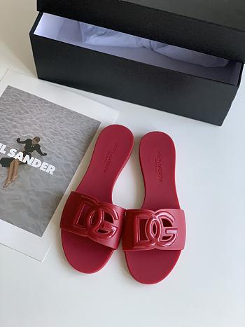 DG Red Slides