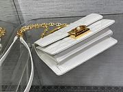 Dior Ange Bag White Gold 20x12x5cm - 5