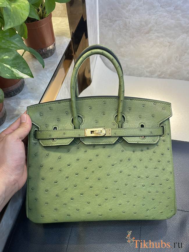 Hermes Birkin 25 Bag Green Ostrich Gold 25cm - 1