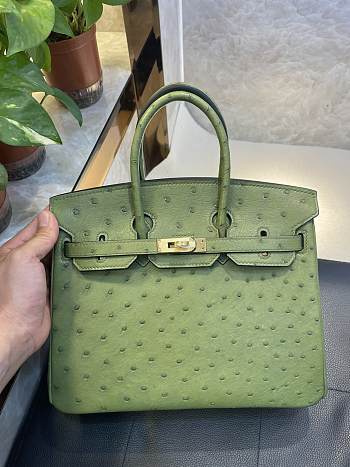 Hermes Birkin 25 Bag Green Ostrich Gold 25cm