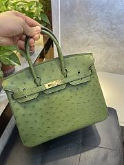 Hermes Birkin 25 Bag Green Ostrich Gold 25cm - 3