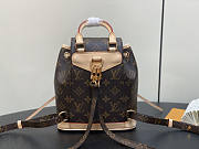 Louis Vuitton LV Montsouris Mini Monogram 24 x 25 x 12 cm - 2