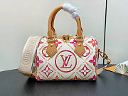 Louis Vuitton LV Speedy Bandoulière 20 Coral 20.5 x 13.5 x 12 cm - 1