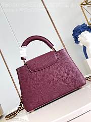 Louis Vuitton LV Capucines BB Red Wine Bag 27cm - 6