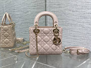 Dior Mini Lady Light Pink Gold 17cm - 1