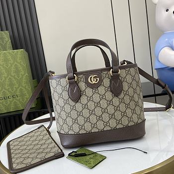 Gucci Ophidia Mini Tote Bag Brown 22x18x10cm