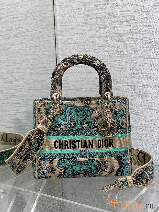 Dior Medium Dioriviera Lady D-Lite Bag Raffia Green 24 x 20 x 12 cm - 1