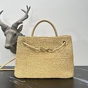 Bottega Veneta Medium Andiamo Raffia 32.5x24x12cm - 1