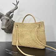 Bottega Veneta Medium Andiamo Raffia 32.5x24x12cm - 2